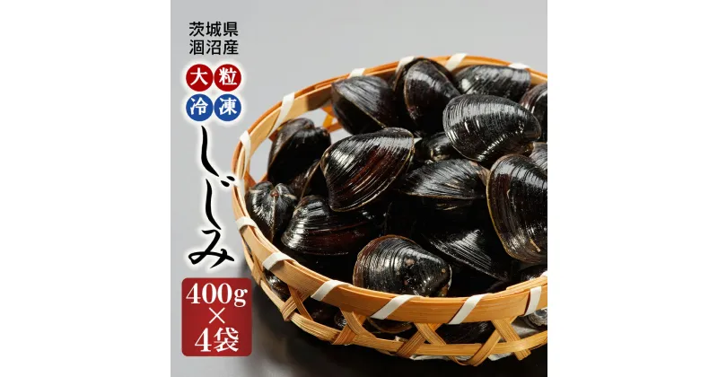 【ふるさと納税】涸沼産 大粒 冷凍 シジミ 1.6kg （400g×4袋） しじみ 蜆 大和しじみ ヤマトシジミ 大玉 砂抜き済 冷凍 味噌汁 スープ 魚貝類 貝 オルニチン コハク酸 小分け