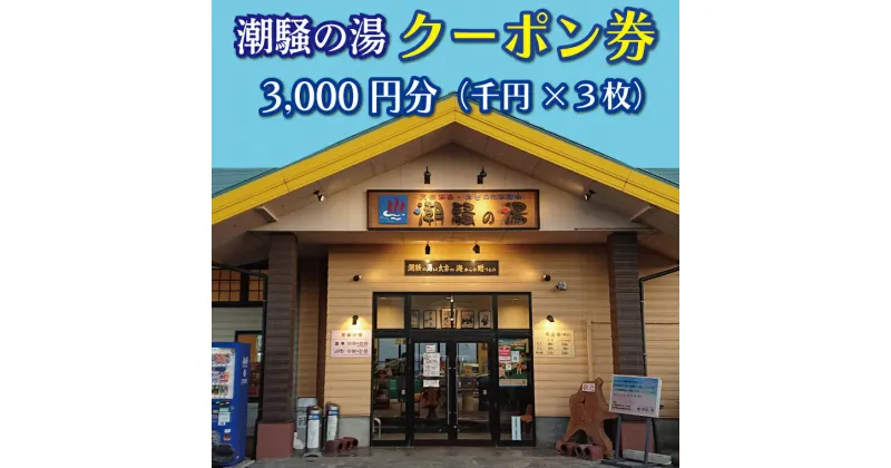 【ふるさと納税】天然温泉 潮騒の湯 クーポン券 3000円分（1000円×3枚） 露店風呂 サウナ おんせん 大洗サンビーチ 海鮮 魚介 食事 宿泊 チケット 利用券 アウトドア 旅行