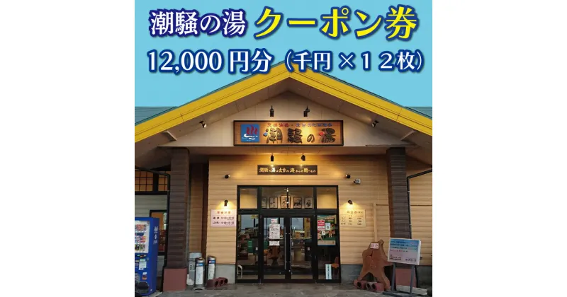 【ふるさと納税】天然温泉 潮騒の湯 クーポン券 12000円分（1000円×12枚） 露店風呂 サウナ おんせん 大洗サンビーチ 海鮮 魚介 食事 宿泊 チケット 利用券 アウトドア 旅行