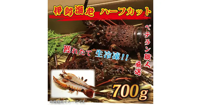 【ふるさと納税】生冷凍 伊勢海老 ハーフカット 700g 冷凍 国産 伊勢エビ イセエビ いせえび 海老 エビ えび おせち 刺身 焼き物 味噌汁