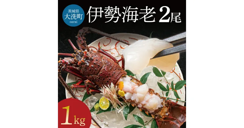 【ふるさと納税】生冷凍 伊勢海老 2尾 1kg 冷凍 国産 伊勢エビ イセエビ いせえび 海老 エビ えび おせち 刺身 焼き物 味噌汁