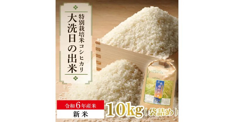 【ふるさと納税】【新米】新米 令和6年産米 10kg すぐ発送 すぐ届く 低農薬米 大洗 日の出米 コシヒカリ 令和6年産 特別栽培米 コメ こめ 送料無料