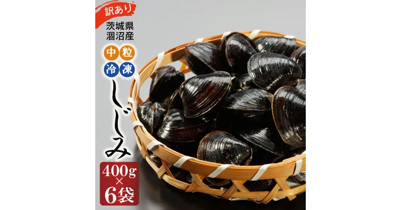 【ふるさと納税】訳あり 涸沼産 中粒 冷凍 シジミ 2.4kg （400g×6袋） しじみ 蜆 大和しじみ ヤマトシジミ 大玉 砂抜き済 冷凍 味噌汁 スープ 魚貝類 貝 オルニチン コハク酸 小分け わけあり 訳アリ