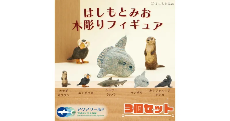 【ふるさと納税】オリジナル フィギュア 木彫り はしもとみお 3個 セット アクアワールド 大洗 水族館 グッズ 彫刻 カワウソ エトピリカ シロワニ マンボウ カリフォルニアアシカ