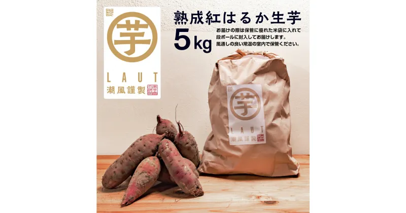 【ふるさと納税】【先行予約】干し芋屋のさつまいも 熟成 紅はるか 生芋 5kg 無添加 無着色 茨城県産 サツマイモ 土付き 芋 さつまいも さつま芋 薩摩芋 紅遥 べにはるか