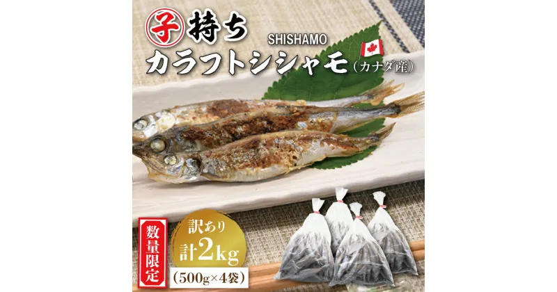 【ふるさと納税】 【数量限定！】 子持ち カラフトシシャモ 2kg (500g×4袋) 訳アリ シシャモ ししゃも カラフトししゃも 大洗 規格外 訳あり わけあり 傷 すぐ発送