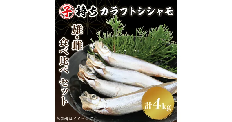 【ふるさと納税】ししゃも雄雌食べ比べ 4kg セット 訳アリ シシャモ ししゃも カラフトししゃも 大洗 規格外 訳あり わけあり 傷 すぐ発送