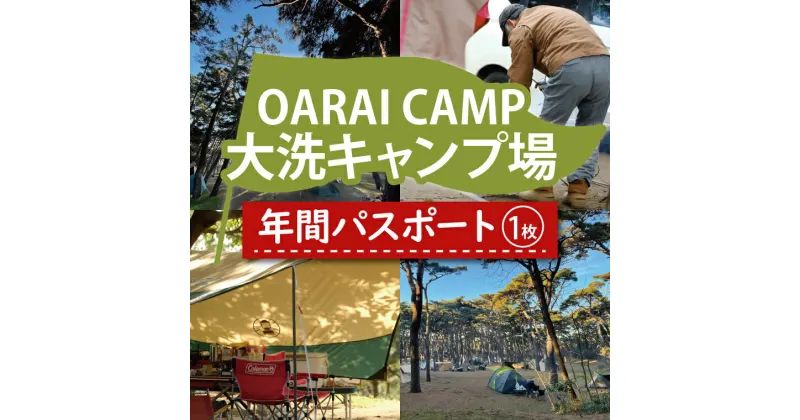 【ふるさと納税】大洗キャンプ場 年間パスポート 大洗 キャンプ チケット 利用券 年間パスポート 年パス アウトドア 旅行