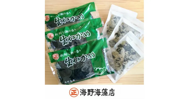 【ふるさと納税】塩蔵わかめ 200g×3パック 青のりとろろ 22g × 3パック セット 海野海藻店 国産 三陸産 わかめ 青さのり のり とろろ昆布 とろろ 昆布 海藻 茨城 大洗 すぐ発送