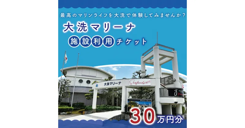 【ふるさと納税】大洗マリーナ 利用券（30万円分） 施設利用 チケット 利用券 係留料 艇置料 レジャー 体験 観光 旅行 釣り フィッシング 大洗町 大洗