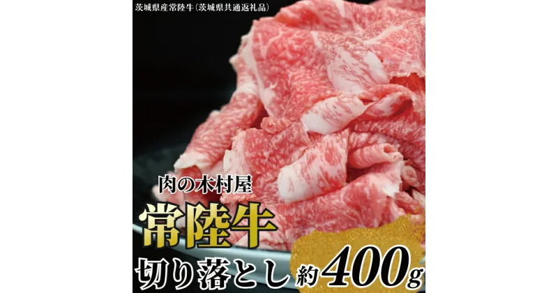 【ふるさと納税】黒毛和牛 「常陸牛」 切り落とし 約400g （茨城県共通返礼品・茨城県産）ブランド牛 銘柄牛 常陸牛 牛 牛肉 肉 切落し 切落とし 茨城 茨城県産 国産 冷凍 焼肉 BBQ