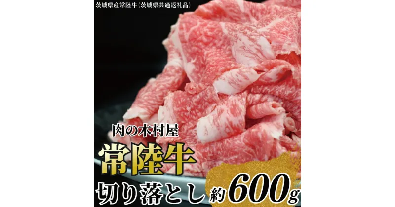 【ふるさと納税】黒毛和牛 「常陸牛」 切り落とし 約600g（茨城県共通返礼品・茨城県産）ブランド牛 銘柄牛 常陸牛 牛 牛肉 肉 切落し 切落とし 茨城 茨城県産 国産 冷凍 焼肉 BBQ