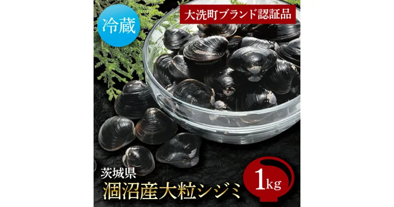 【ふるさと納税】涸沼産 大粒 シジミ 1kg しじみ 蜆 大和しじみ ヤマトシジミ 大玉 冷蔵 味噌汁 スープ 魚貝類 貝 オルニチン コハク酸 魚介類