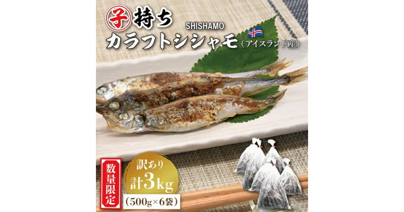 【ふるさと納税】【数量限定！】 子持ち カラフトシシャモ 3kg (500g×6袋) 訳アリ シシャモ ししゃも カラフトししゃも 大洗 規格外 訳あり わけあり 傷 ヤマイシ アイスランド産