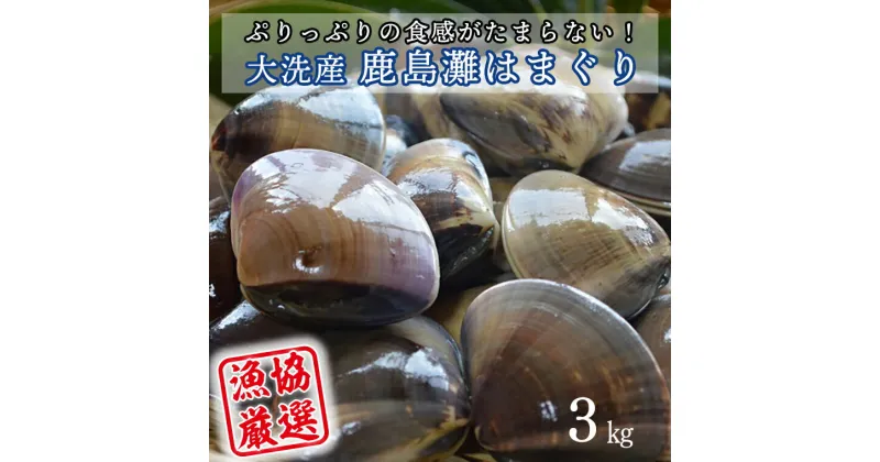 【ふるさと納税】 大洗産鹿島灘天然はまぐり 3kg 冷蔵 お吸い物 ハマグリ 蛤 貝 砂抜き処理 魚介類 大洗産 天然 はまぐり