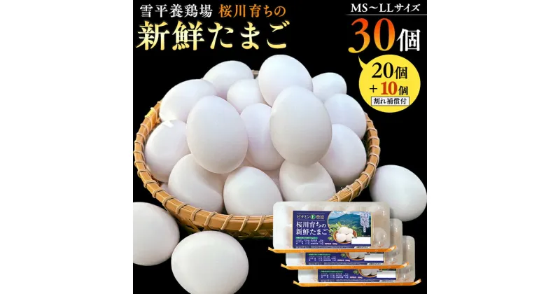 【ふるさと納税】 雪平養鶏場 桜川育ちの 新鮮 たまご 合計30個（20個＋10個割れ補償付) たまごかけご飯 玉子 生卵 鶏卵 TKG