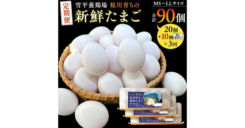 【ふるさと納税】 【 3回 定期便 】 雪平養鶏場 桜川育ちの 新鮮 たまご 合計30個（20個＋10個割れ補償付) ×3回 たまごかけご飯 玉子 生卵 鶏卵 TKG