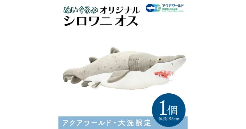 【ふるさと納税】ぬいぐるみ オリジナル シロワニ オス 1体 アクアワールド 大洗 限定 グッズ 水族館 さめ サメ 鮫