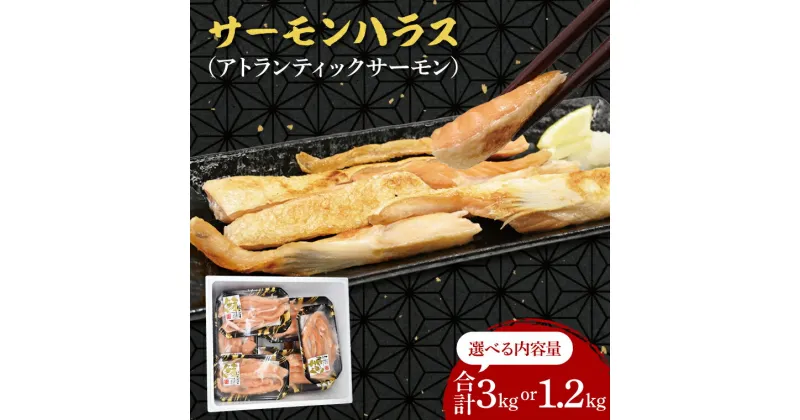 【ふるさと納税】【選べる内容量】 サーモン ハラス 1.2kg(200g×6p) 3kg (200g×15p) アトランティックサーモン 鮭 鮭はらす 大洗町 大洗 魚 さかな 魚介類 冷凍 工場直送 おかず おつまみ