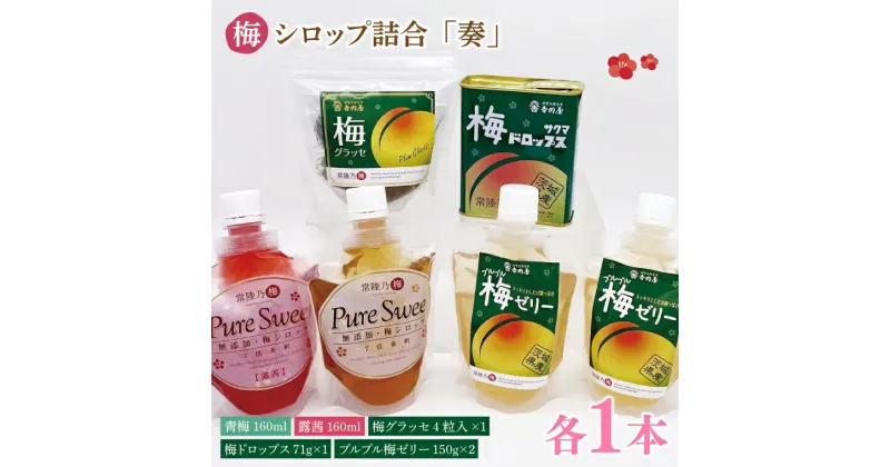 【ふるさと納税】梅シロップ詰合「奏」 昔ながら 老舗 伝統 国産 大洗 大洗町 梅干し 梅干 梅 うめぼし うめ