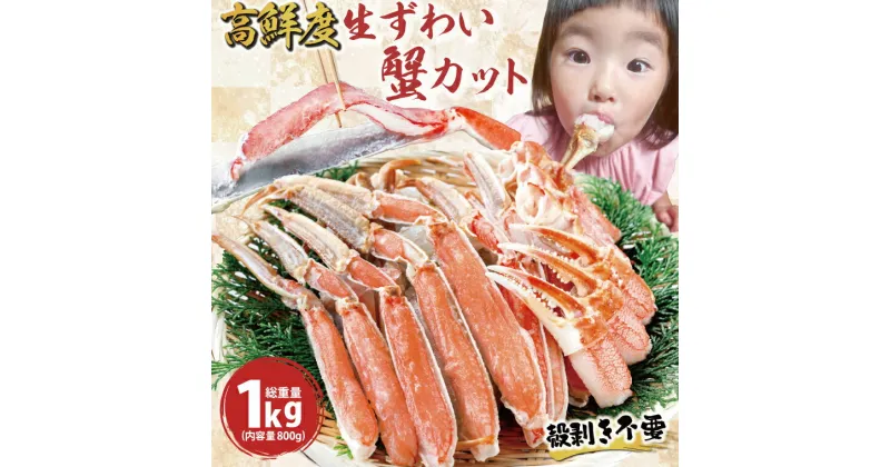 【ふるさと納税】カット済 生本ずわいがに 総重量1kg(内容量800g) ＜ 数量限定 ＞＜ 生食OK ＞ ＜ 工場直送 ＞生ずわいがに ずわいがに ずわい蟹 生冷ずわいがに 生ずわい ずわい かに かに足 蟹足 足 かに脚 蟹脚 脚 かに肩 蟹肩 肩 かに爪 蟹爪 爪 かに鍋