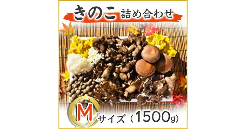 【ふるさと納税】きのこの詰め合わせ　Mサイズ(1.500g)【配送不可地域：離島】【1257864】