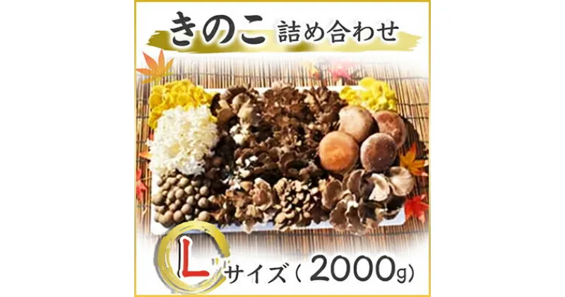 【ふるさと納税】きのこの詰め合わせ　Lサイズ(2.000g)【配送不可地域：離島】【1258190】