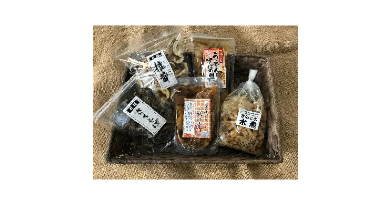 【ふるさと納税】きのこ加工品詰め合わせ5点セット【配送不可地域：離島】【1258327】