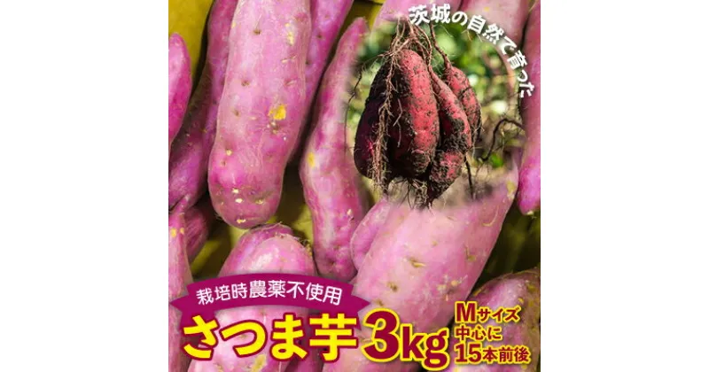 【ふるさと納税】さつまいも　紅はるか　栽培期間中農薬不使用栽培　3kg【配送不可地域：離島】【1358821】