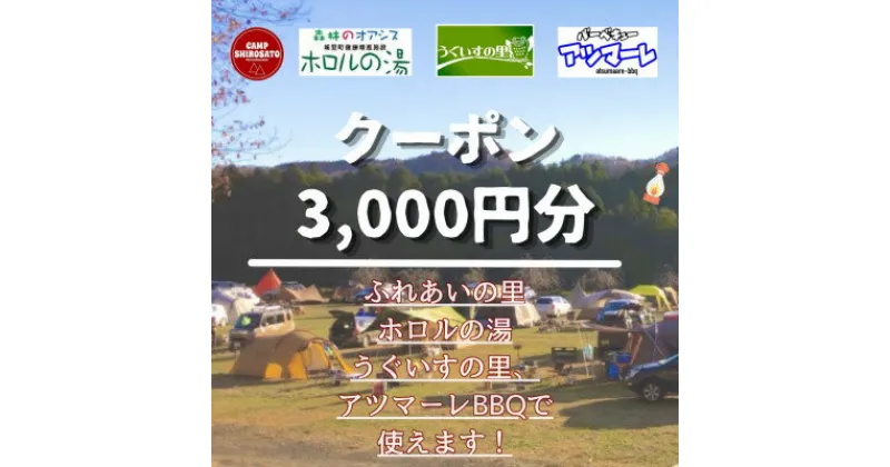 【ふるさと納税】【城里町ホロルの湯、ふれあいの里、うぐいすの里、アツマーレBBQで使えるクーポン券】3,000円分【配送不可地域：離島】【1362339】