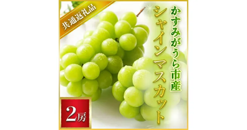 【ふるさと納税】【2024年7月より順次発送予定】シャインマスカット　2房(県内共通返礼品:かすみがうら市産)【配送不可地域：離島・沖縄県】【1401732】