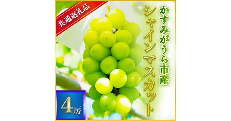 【ふるさと納税】【2024年7月より順次発送予定】シャインマスカット　4房(県内共通返礼品:かすみがうら市産)【配送不可地域：離島・沖縄県】【1401738】