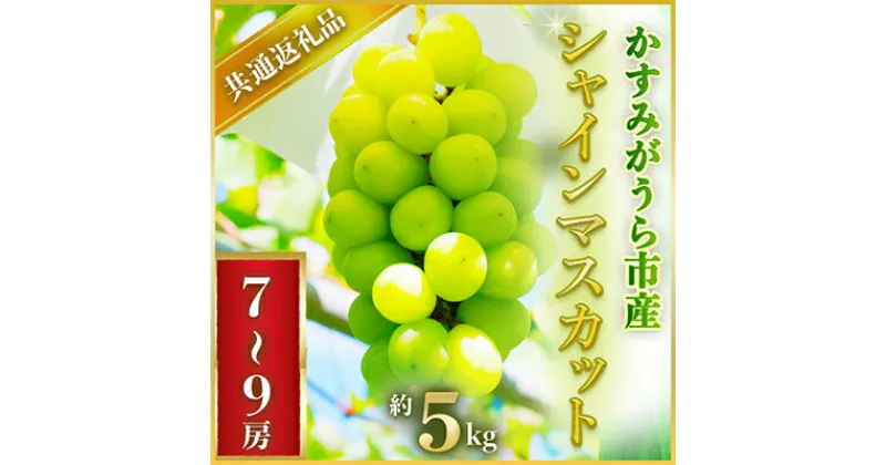 【ふるさと納税】2024年7月より順次発送予定シャインマスカット約5キロ7～9房(県内共通返礼品:かすみがうら市産)【配送不可地域：離島・沖縄県】【1401744】