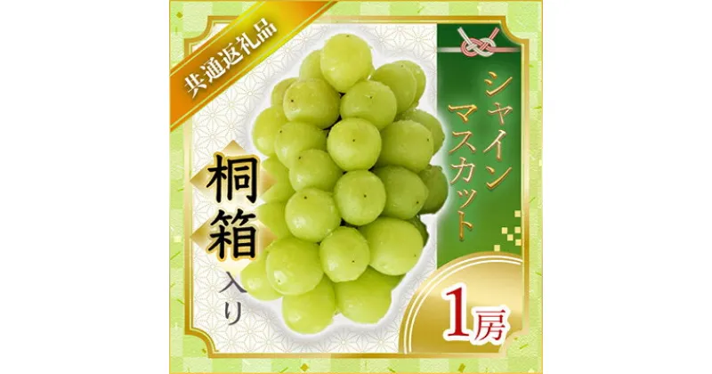 【ふるさと納税】【2024年7月より順次発送予定】シャインマスカット桐箱入り1房(県内共通返礼品:かすみがうら市産)【配送不可地域：離島・沖縄県】【1401754】