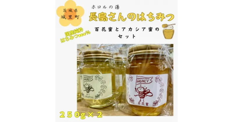 【ふるさと納税】長島さんのはちみつ 百花蜜とアカシア蜜　各250g【配送不可地域：離島】【1409651】