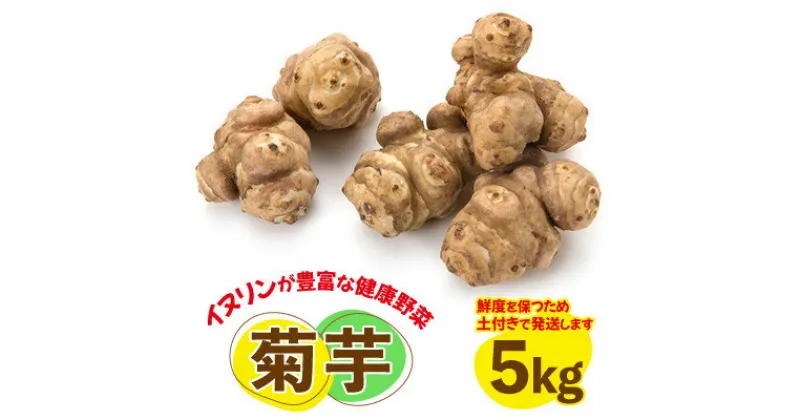 【ふるさと納税】菊芋(きくいも)健康野菜5kg【配送不可地域：離島】【1434509】