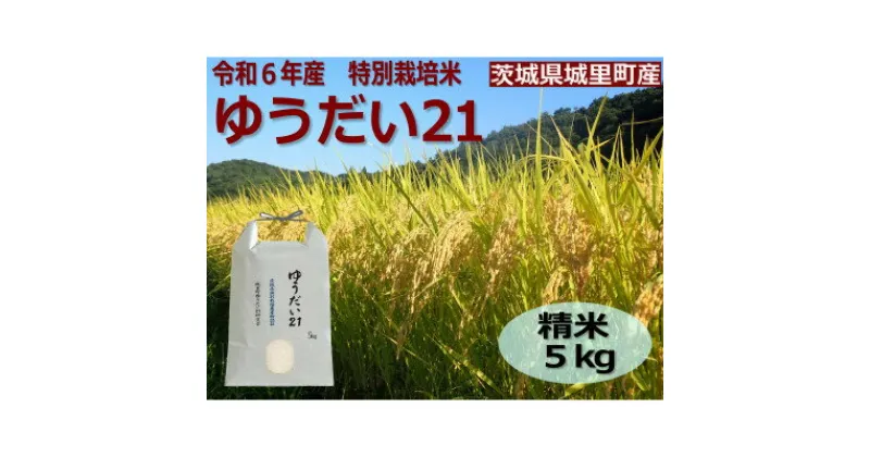 【ふるさと納税】令和6年産【R5 いばらき米の極み頂上コンテスト受賞】特別栽培米「ゆうだい21」精米5kg【配送不可地域：離島】【1557705】