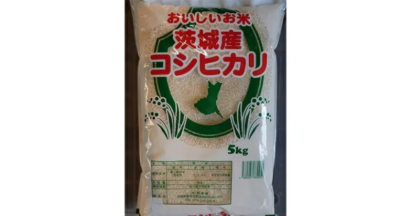 【ふるさと納税】令和6年産　コシヒカリ(精白米)　5kg【配送不可地域：離島】【1557857】