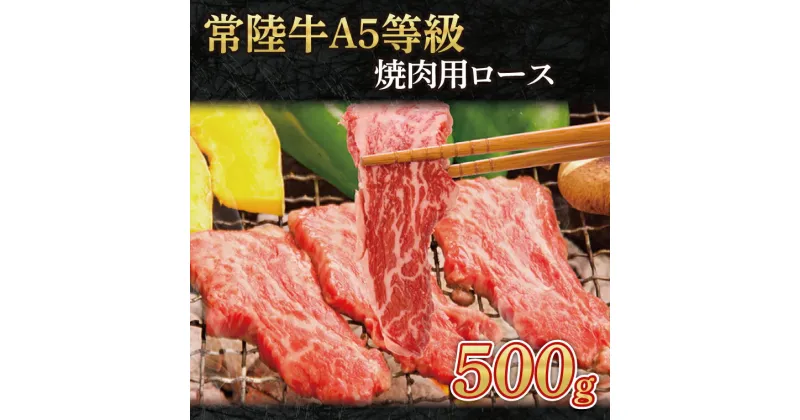 【ふるさと納税】常陸牛A5等級　焼肉用500g（ロース）（AC008）