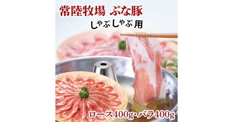 【ふるさと納税】常陸牧場 ぶな豚 しゃぶしゃぶ用 (ロース400g・バラ400g)（AX001）