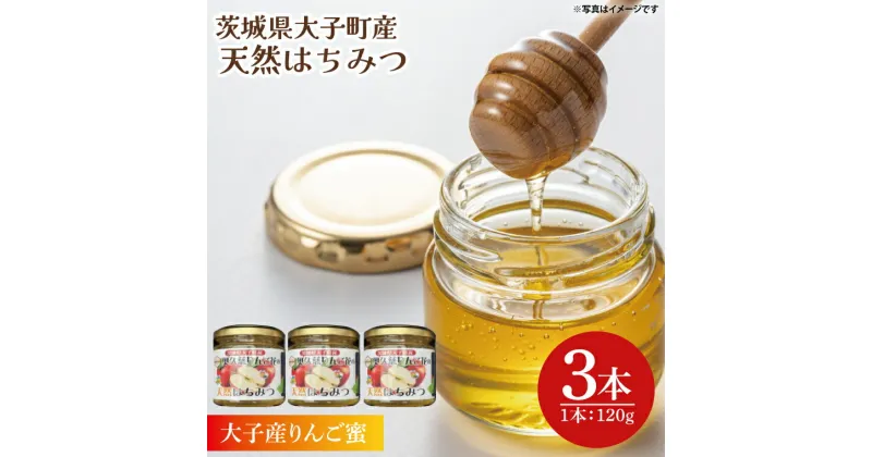 【ふるさと納税】天然はちみつ【大子のりんご蜜 120g×3本セット】 ハニー 大子産 国産 ハチミツ(BG003)