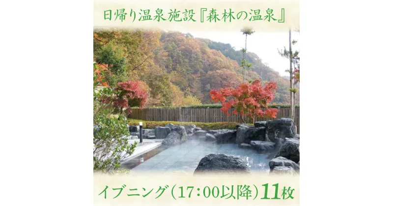 【ふるさと納税】日帰り温泉施設『森林の温泉（もりのいでゆ）』 イブニング 17：00以降 回数券 11枚入り(BR003)