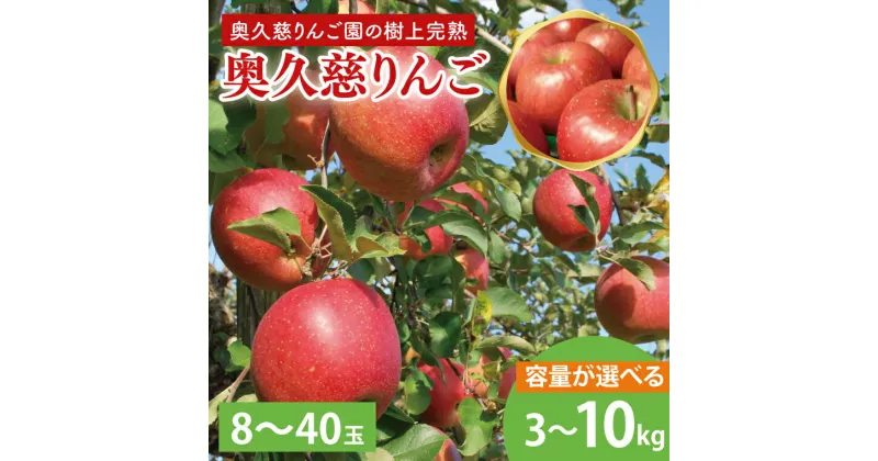 【ふるさと納税】【選べる】【2024年9月中旬頃配送開始】奥久慈りんご園の樹上完熟 奥久慈りんご 3kg（8～12玉）or 10kg（30～40玉）（AI003）