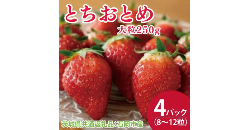 【ふるさと納税】【先行予約】とちおとめ大粒250g（8～12粒）×4pc（茨城県共通返礼品：石岡市産）合計約1kg　※2024年12月初旬～2025年3月下旬頃に順次発送予定(CD001)