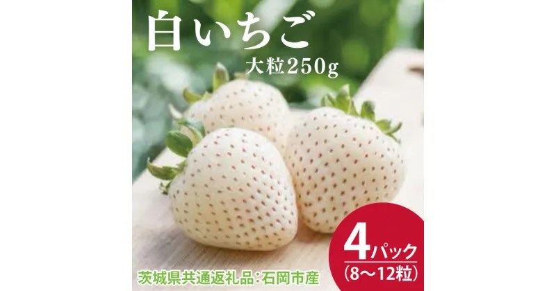 【ふるさと納税】【先行予約】白いちご 大粒250g（8～12粒）×4パック（茨城県共通返礼品：石岡市産）合計約1kg　※2024年12月初旬～2025年3月下旬頃に順次発送予定(CD004)