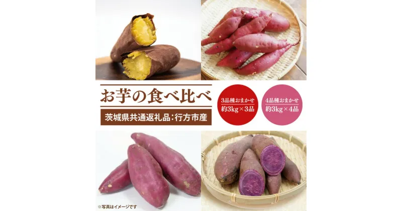 【ふるさと納税】【先行予約】【選べる】お芋の食べ比べ （品種はおまかせ）さつまいも 3品種×約3kg 計9kg　または　4品種×約3kg 計12kg（茨城県共通返礼品：行方市産）※2024年10月上旬～2025年3月下旬頃に順次発送予定（CD088）