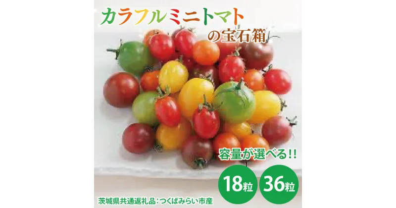 【ふるさと納税】【先行予約】カラフルミニトマトの宝石箱 18粒・36粒（茨城県共通返礼品：つくばみらい市産）※2025年1月上旬～3月下旬頃に順次発送予定（CD092）