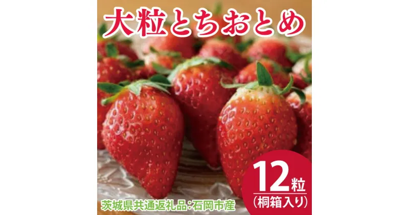 【ふるさと納税】【先行予約】桐箱入り 大粒とちおとめ 12粒（茨城県共通返礼品：石岡市産）※2024年12月初旬～2025年3月下旬頃に順次発送予定（CD011）