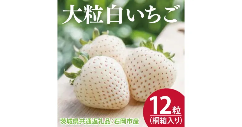 【ふるさと納税】【先行予約】桐箱入り 大粒白いちご 12粒（茨城県共通返礼品：石岡市産）※2024年12月初旬～2025年3月下旬頃に順次発送予定（CD012）