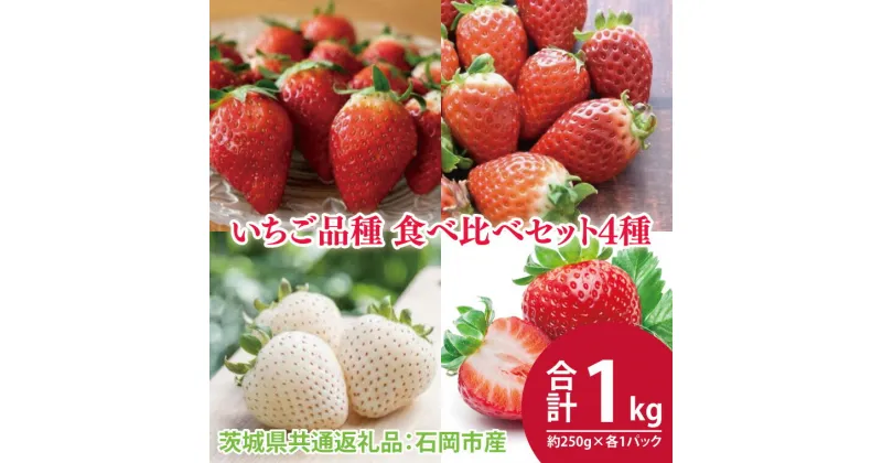 【ふるさと納税】【先行予約】いちご品種 食べ比べセット 4種 約250g×各1パック 計1kg（茨城県共通返礼品：石岡市産）※2025年1月初旬～2025年3月下旬頃に順次発送予定（CD017）